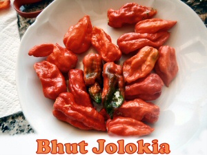 Bhut jolokia